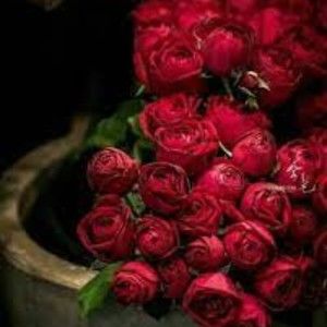 Meet your Posher, Ruth